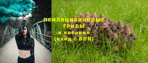 mdpv Володарск
