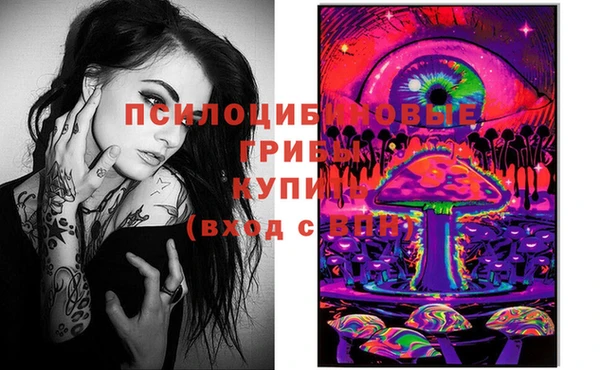 mdpv Володарск